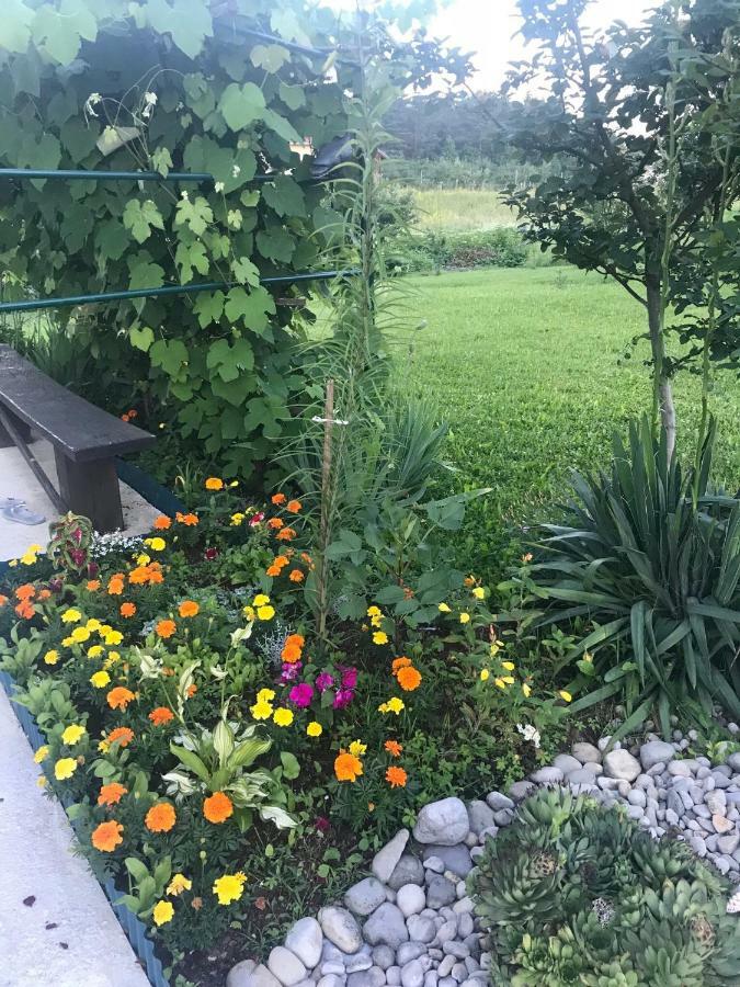 Guest House Klanfar Grabovac  Exterior foto